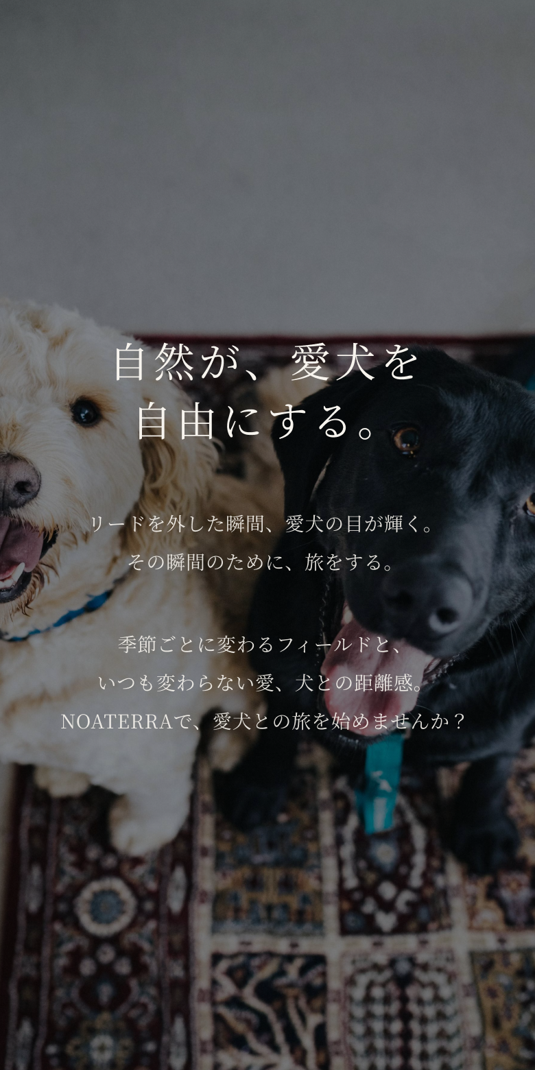 自然が、愛犬を自由にする。